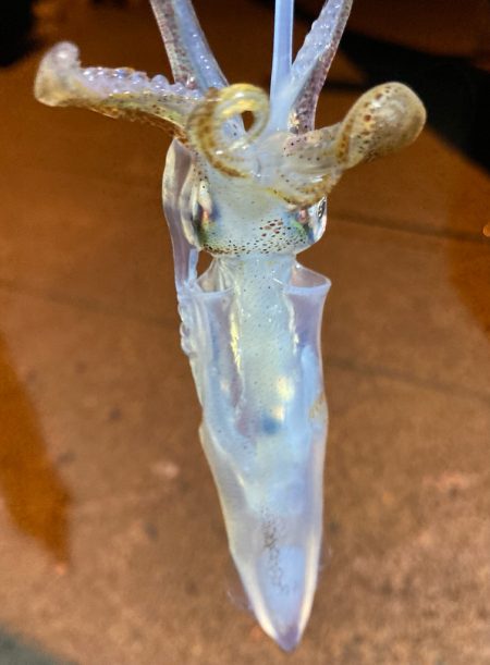 ヒイカおった、おった(^^)