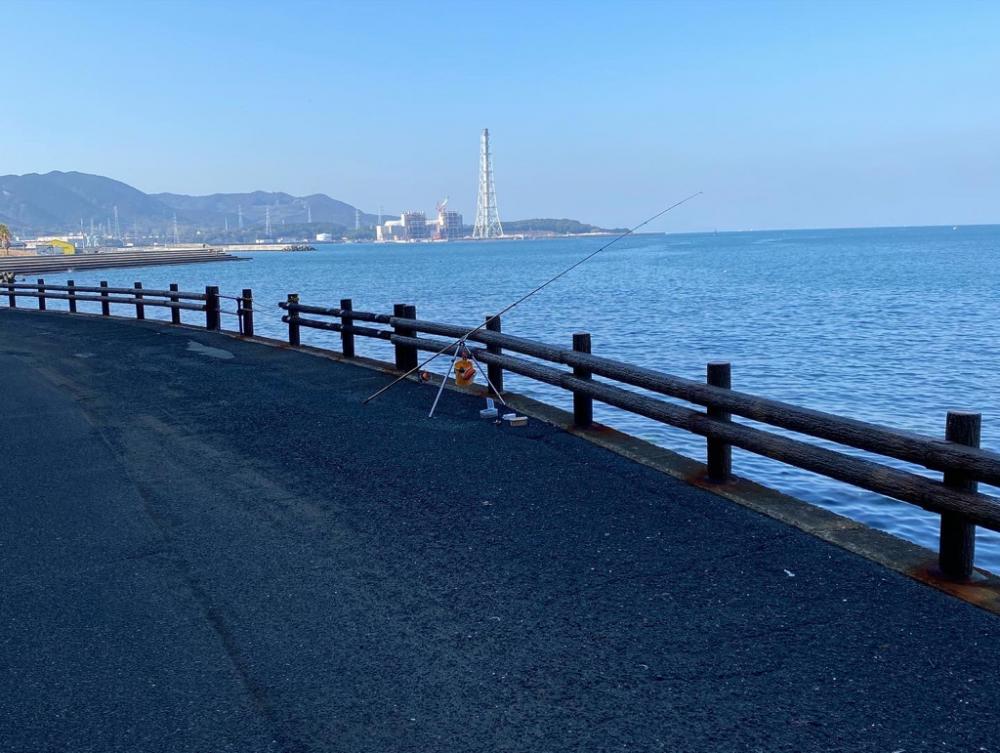 花見カレイ、アイナメ、五目釣り