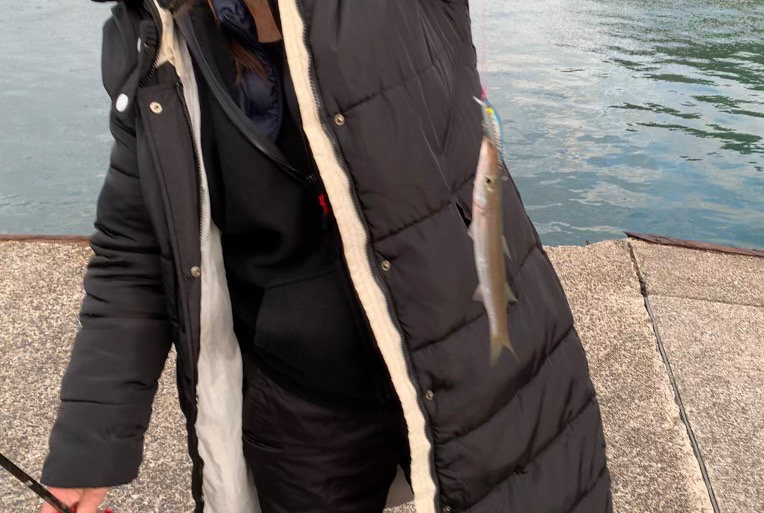 カマス釣りにハマってます