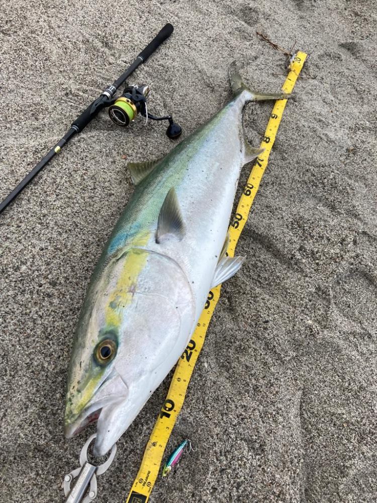 吹上浜ブリついに‥