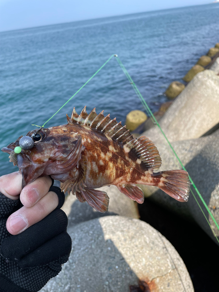 厳しい穴釣り#4