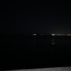 真冬にはガシラ