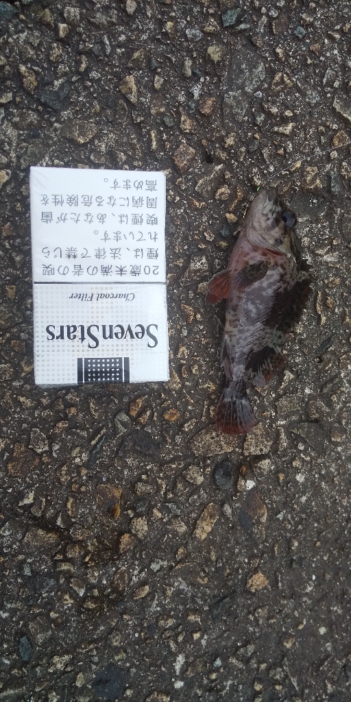 のんびり穴釣り