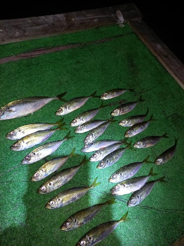 北西風を避けて