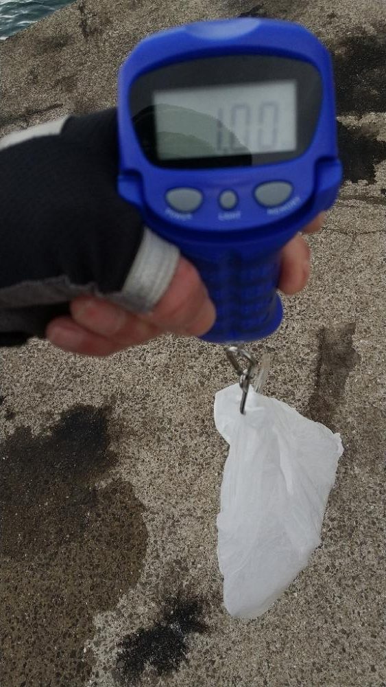 強風の中のエギング