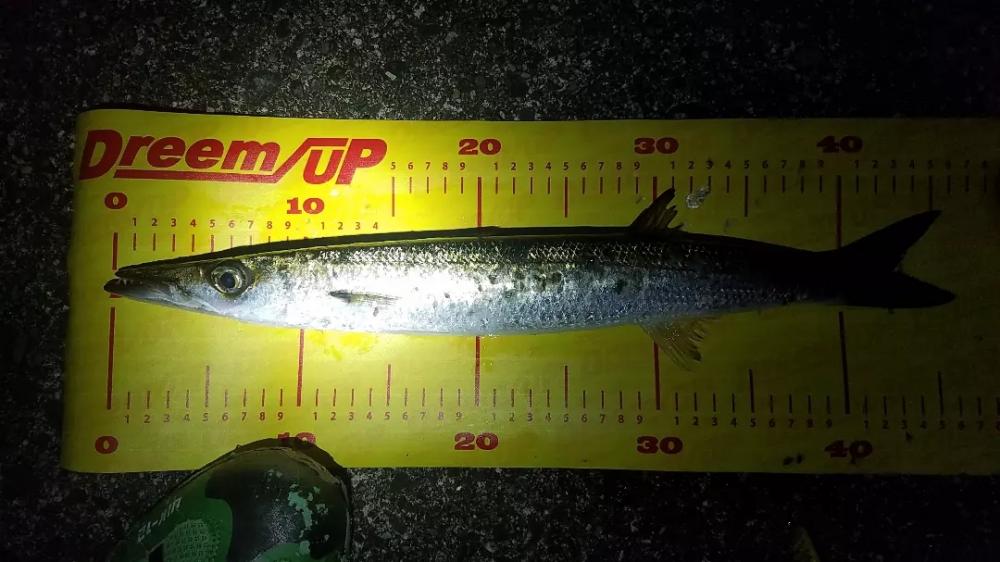 全部デカイ‼️