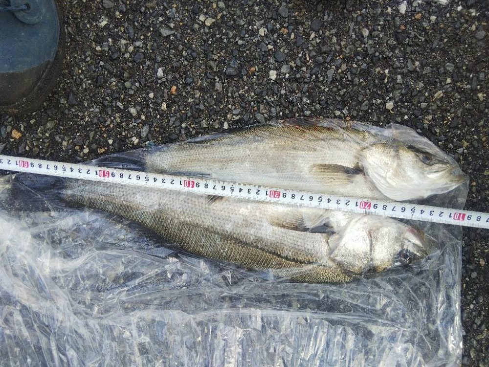 大塩海岸の投げ釣り