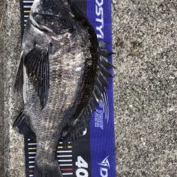 イチノ兄弟、釣果！