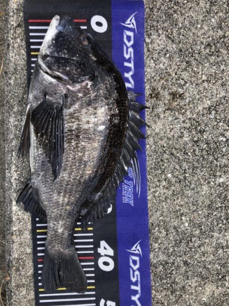 イチノ兄弟、釣果！