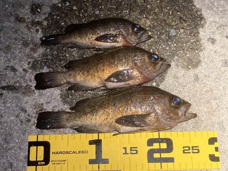 アワジング投稿再開します!