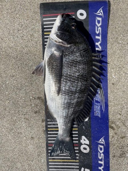 イチノ兄弟、釣果！