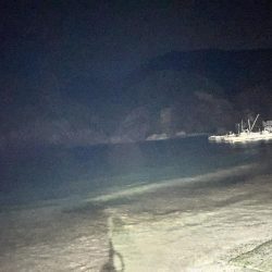 アジを求めて！！