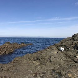 サワラ110cm 1匹釣れました