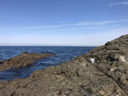 サワラ110cm 1匹釣れました