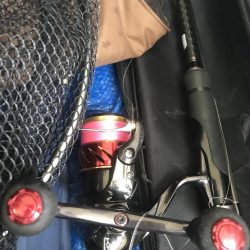 朝マズメのカマス釣り