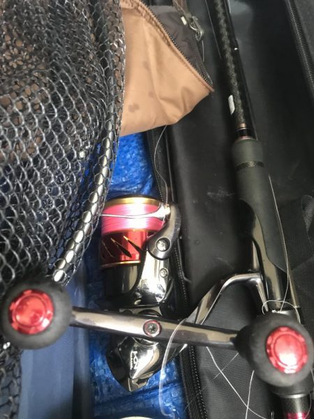 朝マズメのカマス釣り