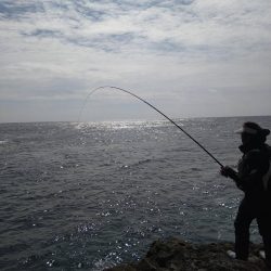 和歌山市江（吉丸渡船）で磯フカセ