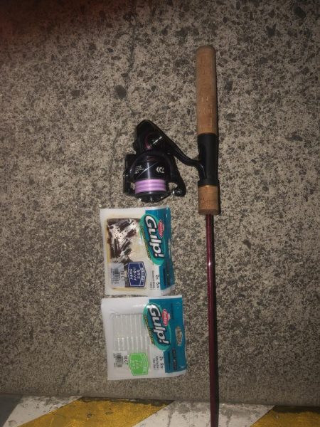 ガルプ強すぎwww。