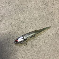 久しぶりの大物(^^)