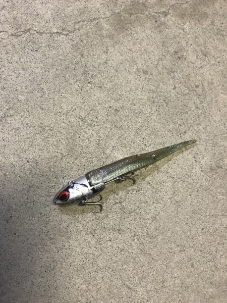 久しぶりの大物(^^)