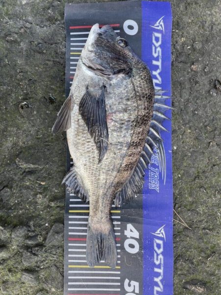 イチノ兄弟、釣果！