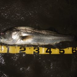 ひたすらスローに