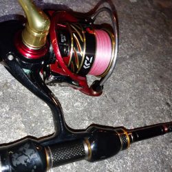 極寒メバリング