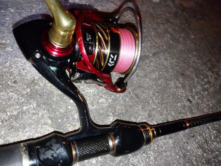 極寒メバリング