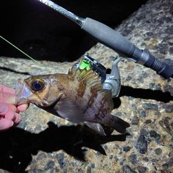 寒空の下でメバリング