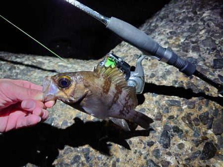 寒空の下でメバリング