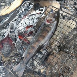 アマゴ釣り(管理釣り場)