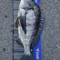 イチノ兄弟、釣果!