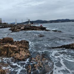 フカセ‥最高ですネ・・