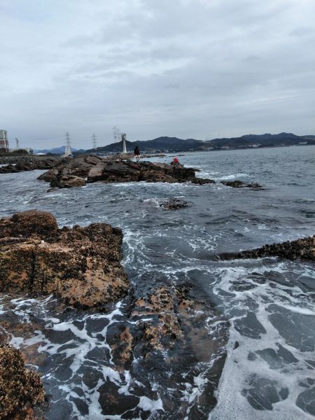 フカセ‥最高ですネ・・