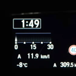 河口湖さかなやドームワカサギ釣り