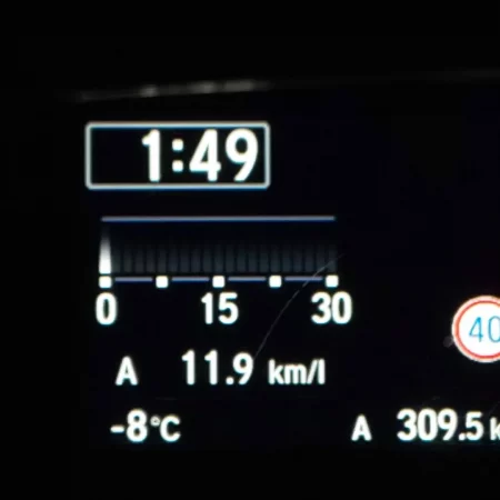 河口湖さかなやドームワカサギ釣り