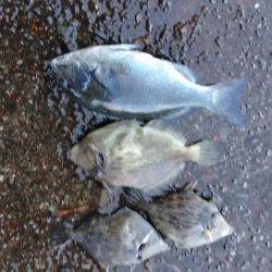 フカセ‥最高ですネ・・