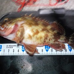 ナイトゲーム3目