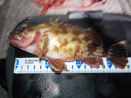 ナイトゲーム3目