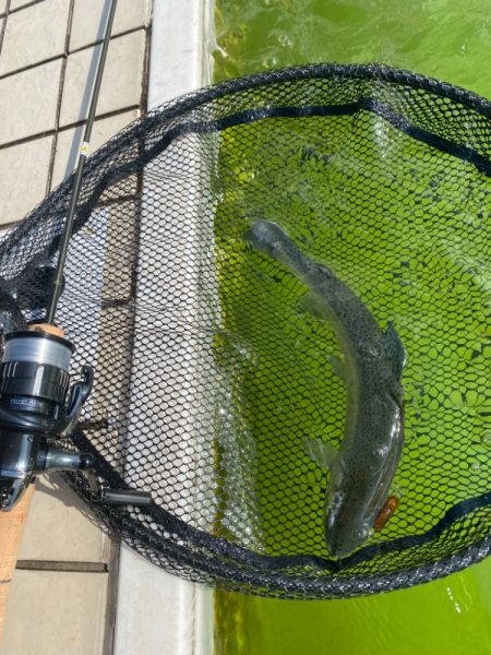 亀岡市　かめプー