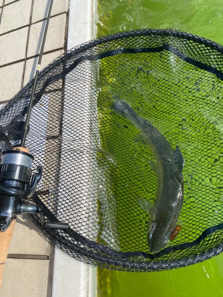 亀岡市　かめプー