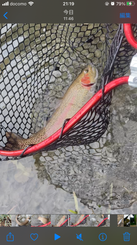 エリアトラウト数釣り？