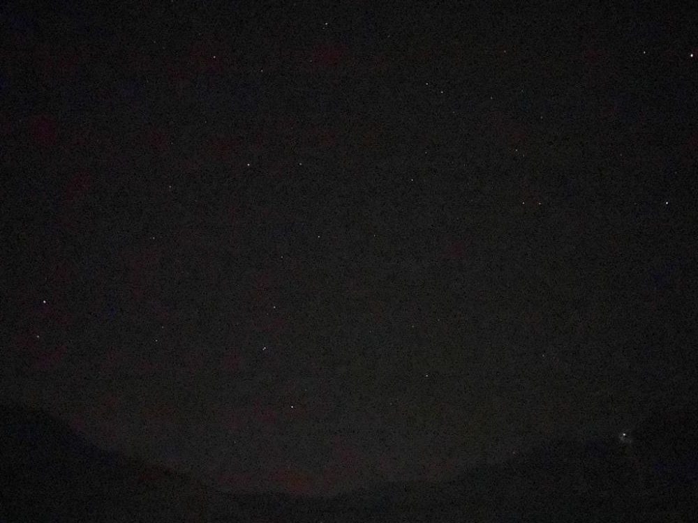 バースデーアオリイカ頂きました〜！