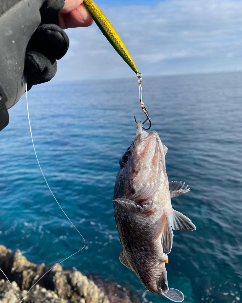 ホッケ祭り開催中！
