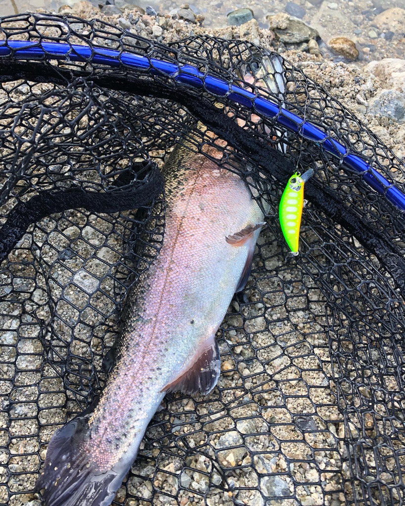 極寒ニジマス釣り!