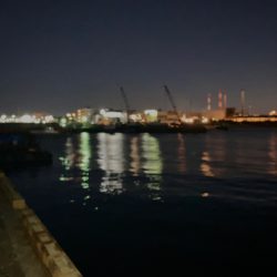 今年初めての釣行