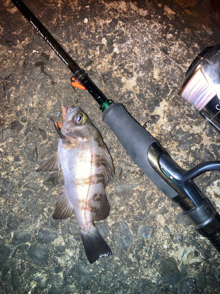 フロートメバリング