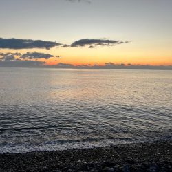 サゴシはキラキラがお好き？