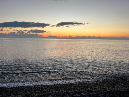 サゴシはキラキラがお好き？