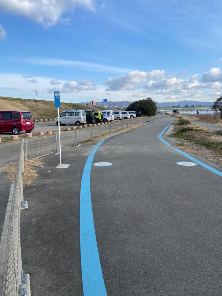 ちょい痩せシーバス